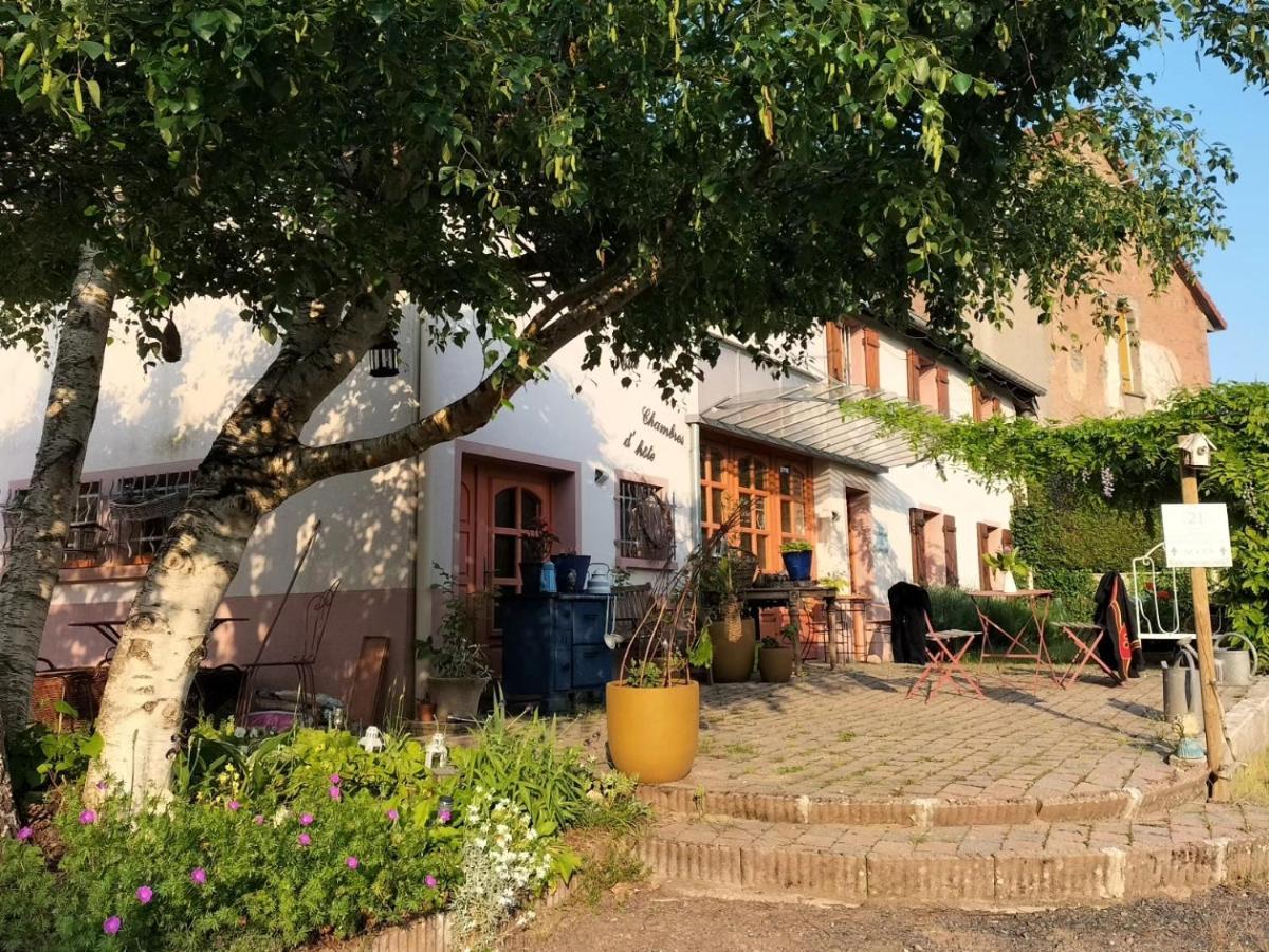 Apartamento Les Capucines La Souris Des Champs Étival-Clairefontaine Exterior foto